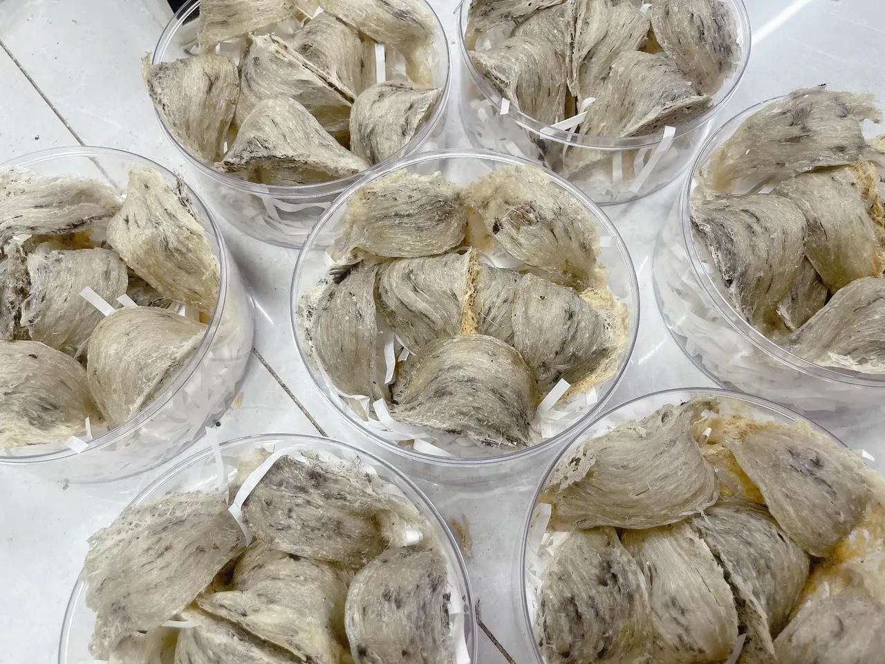 Вьетнамское натуральное необработанное Птичье гнездо, высокое качество, Лучшая цена