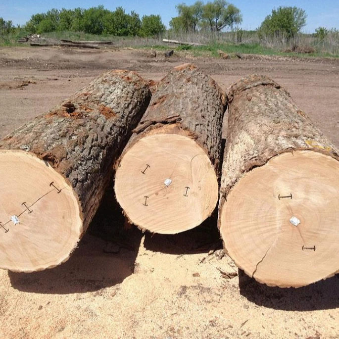 Oak Logs Required, 40+ cm Diameter