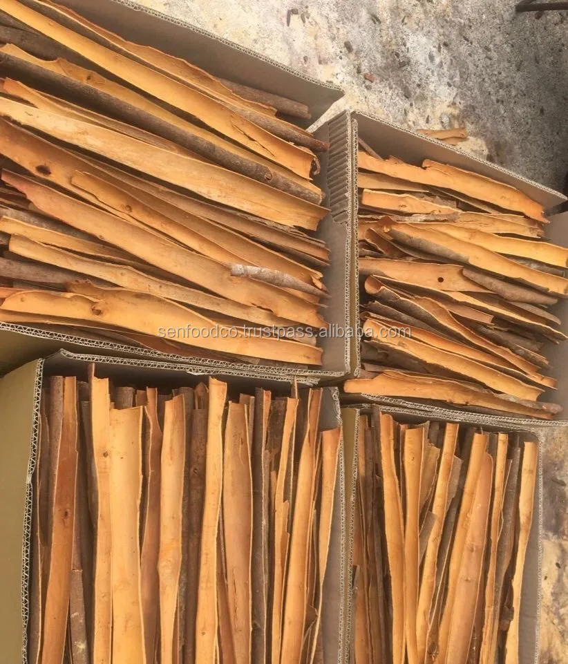 SPLIT CASSIA FROM VIETNAM whatsapp: +84 934 449 569 COMPETITIVE PRICE