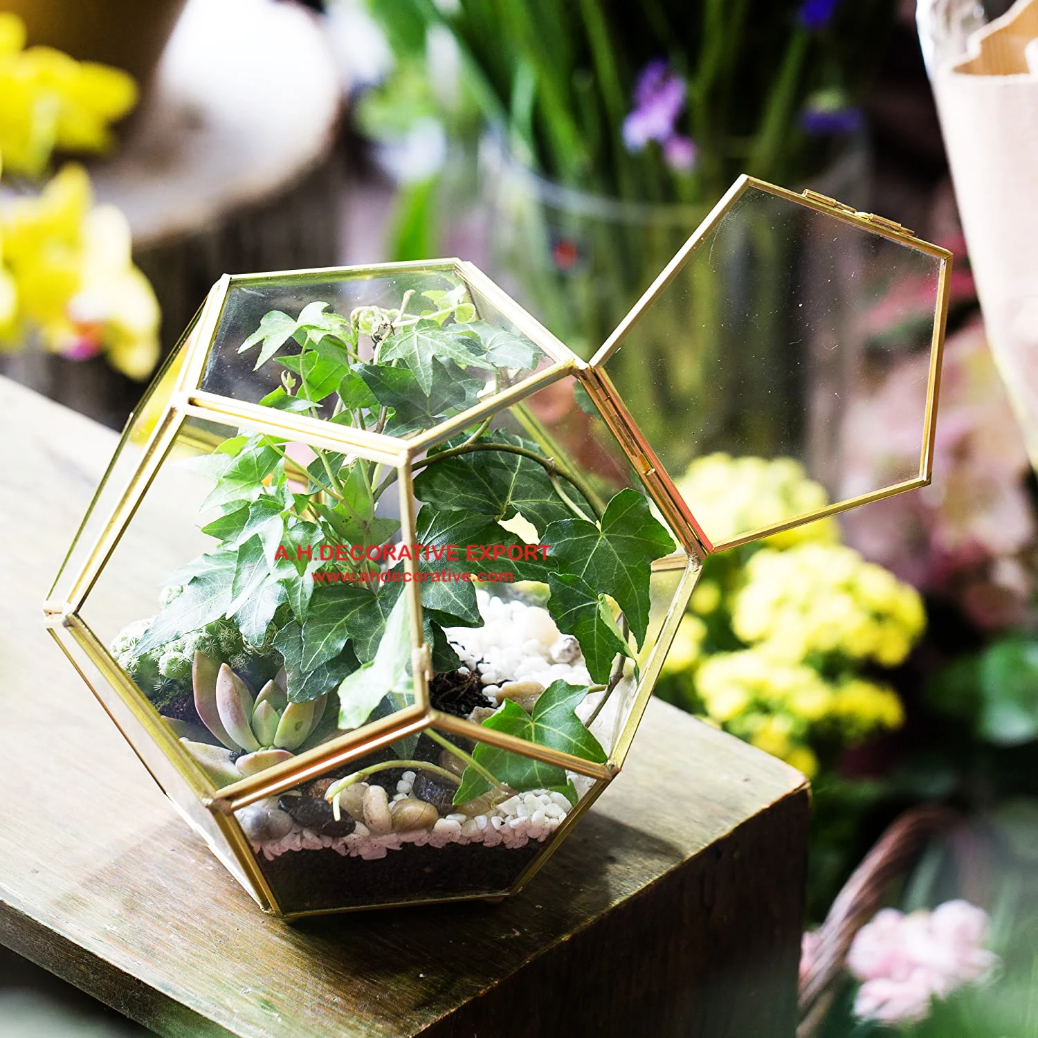 Gold Plated Frame Glass Terrarium Planter Vase Factory Direct Sales Home Decorative Flower Pots Planters