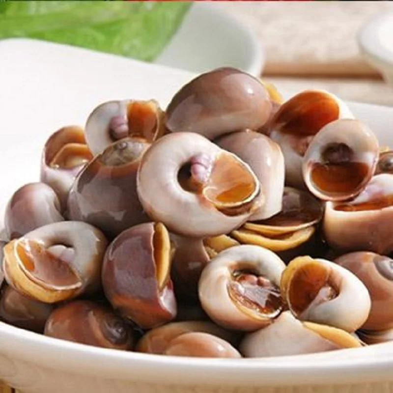 
Wholesale Frozen Sea Snails very Fresh 