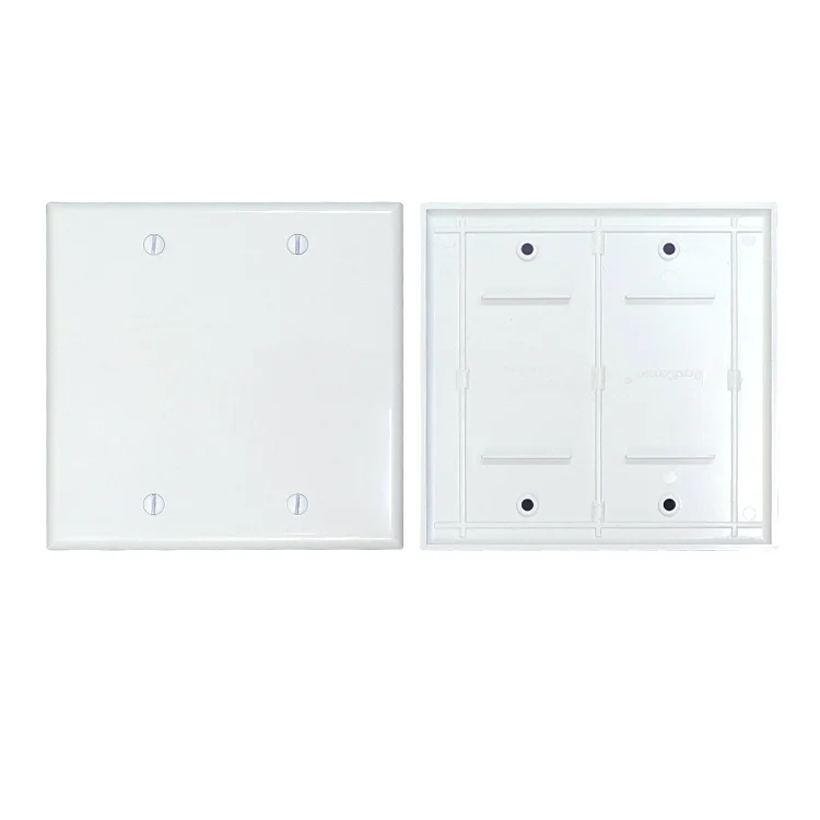 2-gang Blank Device Wallplate