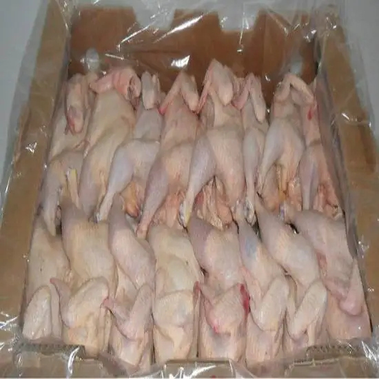 
Hight Quality Chicken Frozen Wholesale Cheap Price From Thailand 