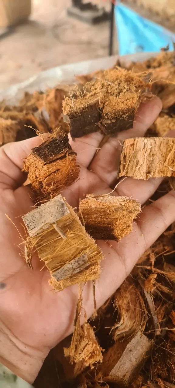 Coco husk chips Coir chip high quality cheap price + 84 938244404