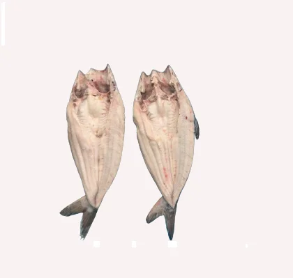 Frozen Fish Pangasius Butterfly Cut / Basa Butterfly Cut/ Cream Dory Butterfly Cut