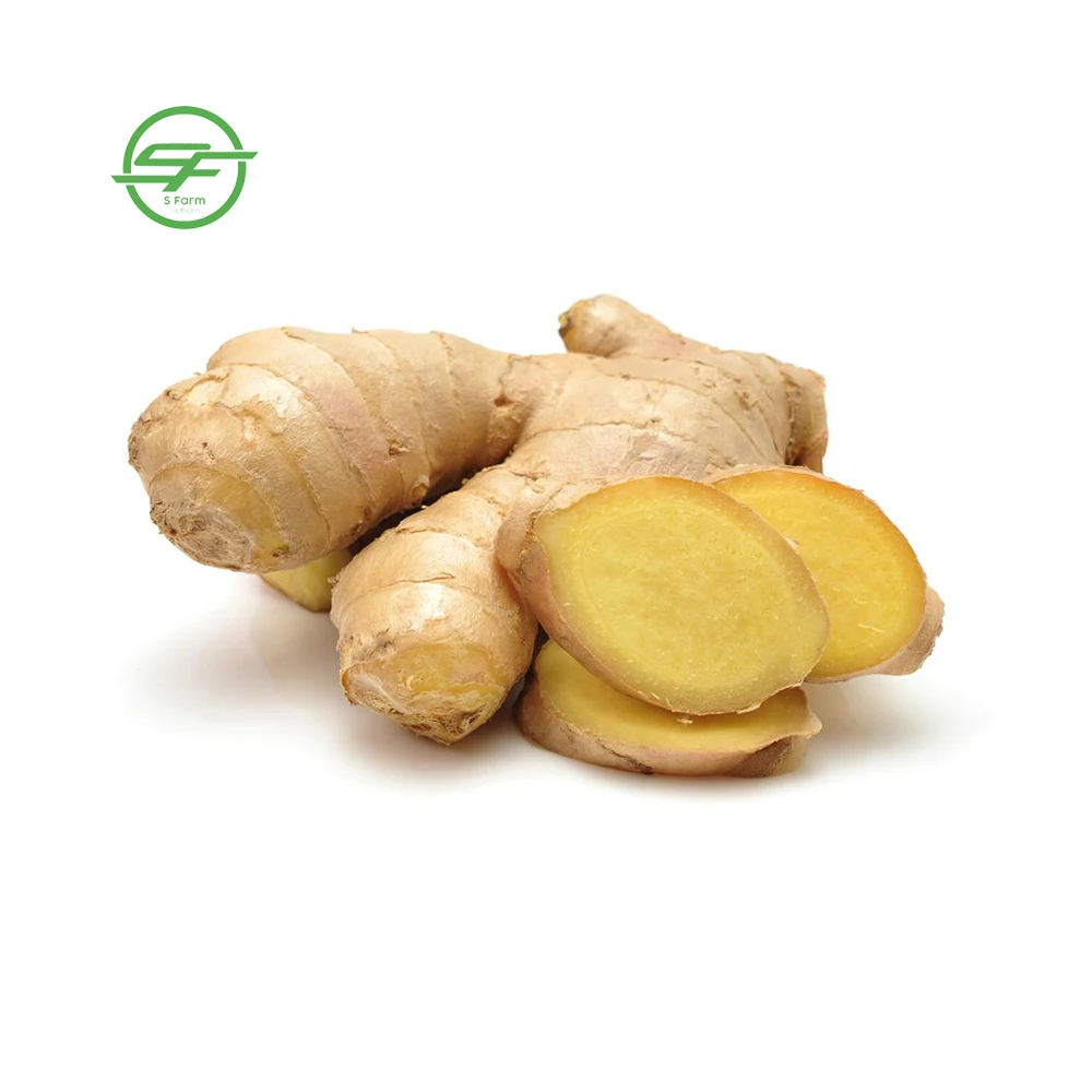 Wholesale Ginger Fresh From Vietnam