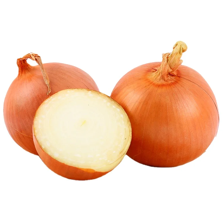 Fresh style yellow onion low price for export