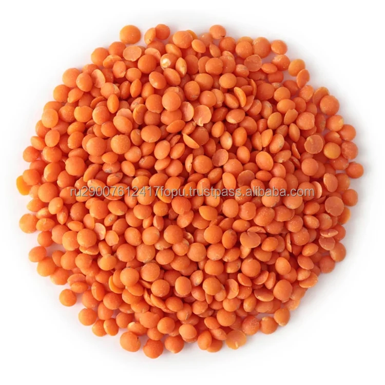 Premium class red lentils a delicious healthy product to lower cholesterol levels excellent source of protein, red lentil