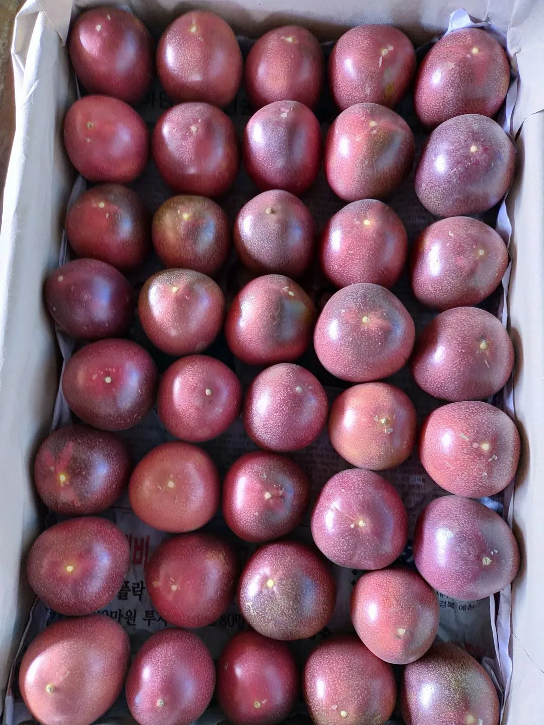 Passion Fruit 2022 From Vietnam, passion fruit seeds, Best Seller 2022