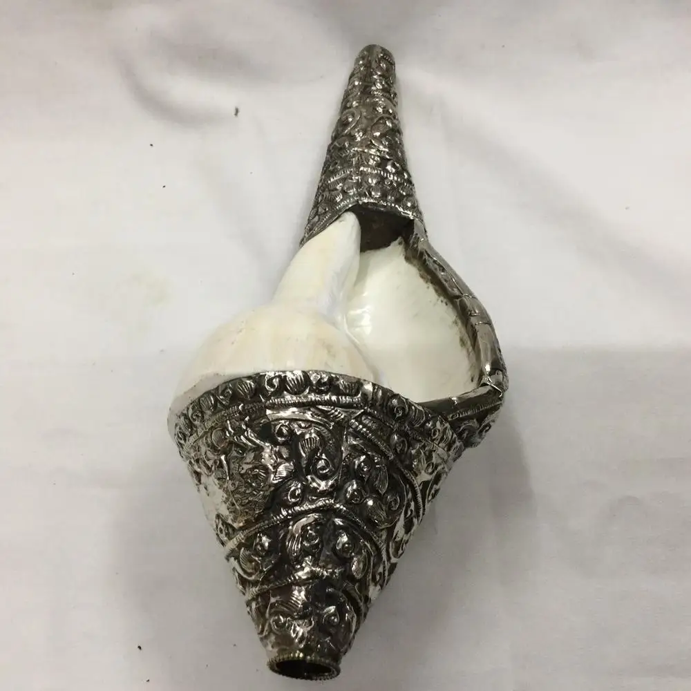 Auspicious Sign set Conch shell