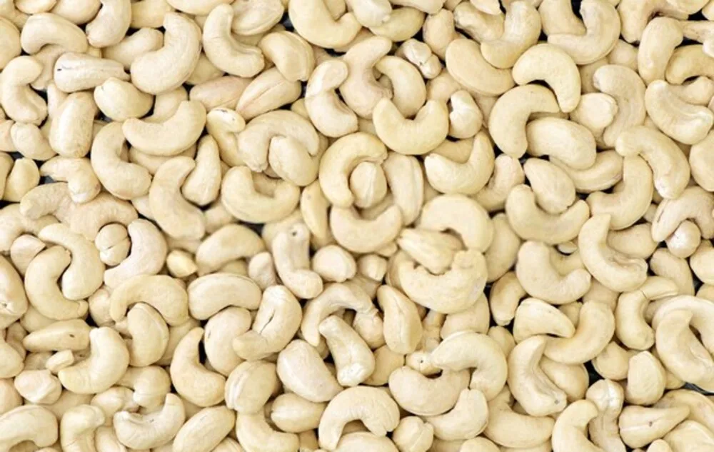 High Quality Cashew Nuts Cashew W180- W240- W320- W450 Cashew without shell, new season Vietnam