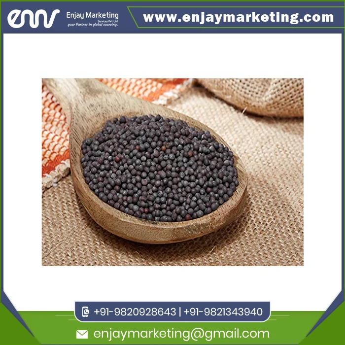 Popular Mustard Black with Custom Packing or Logo Print Buy at Wholesale Price