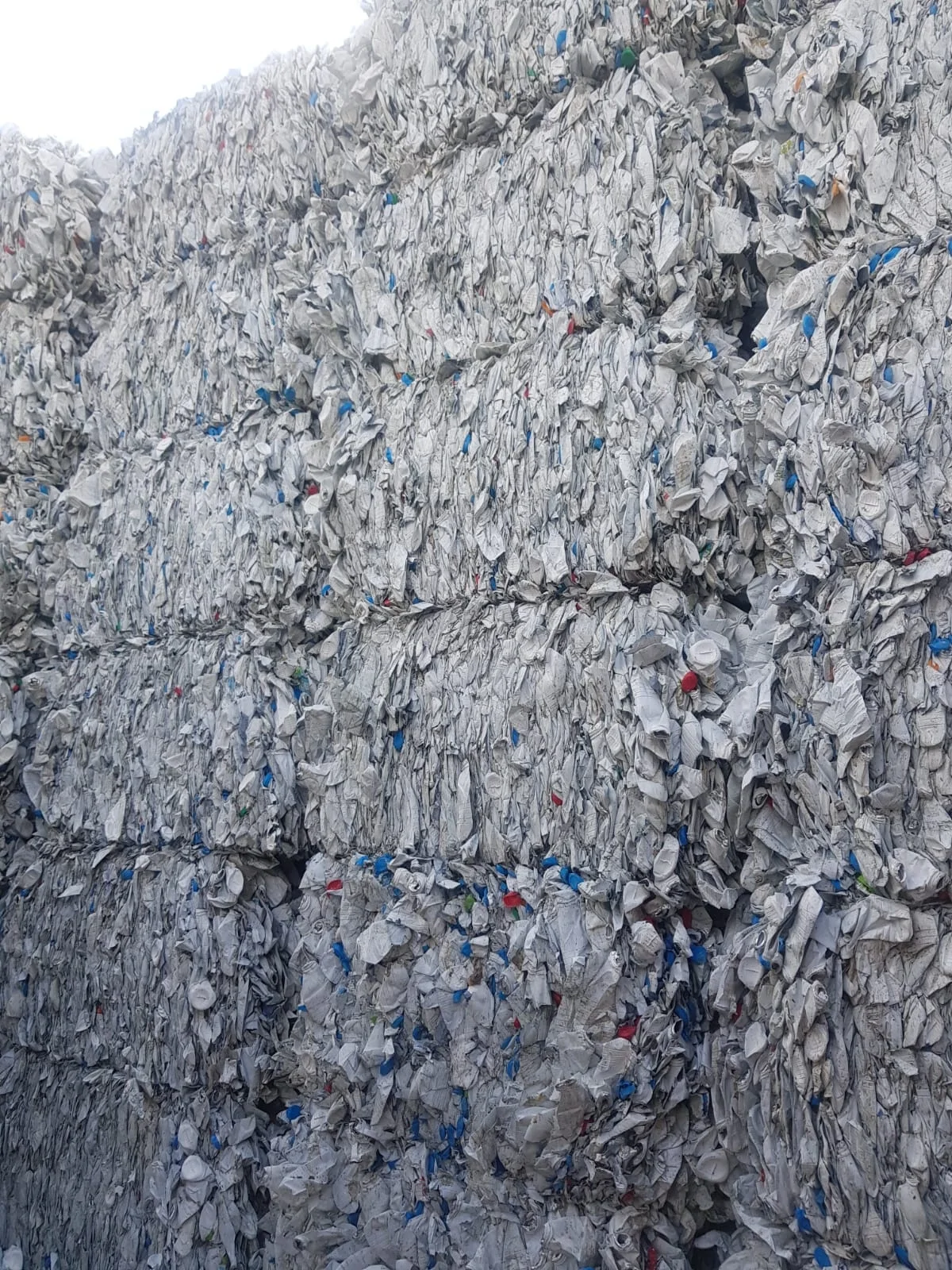 HDPE Milk Bottle Scraps/Plastic Scraps!