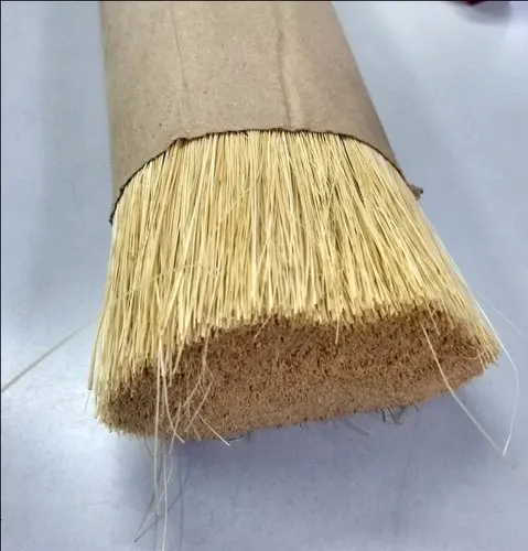 
Mexico Tampico Natural Tampico Fiber For Clean Brush Making 