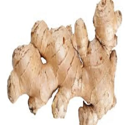 
Isolated Shredded Ginger For Exporting 