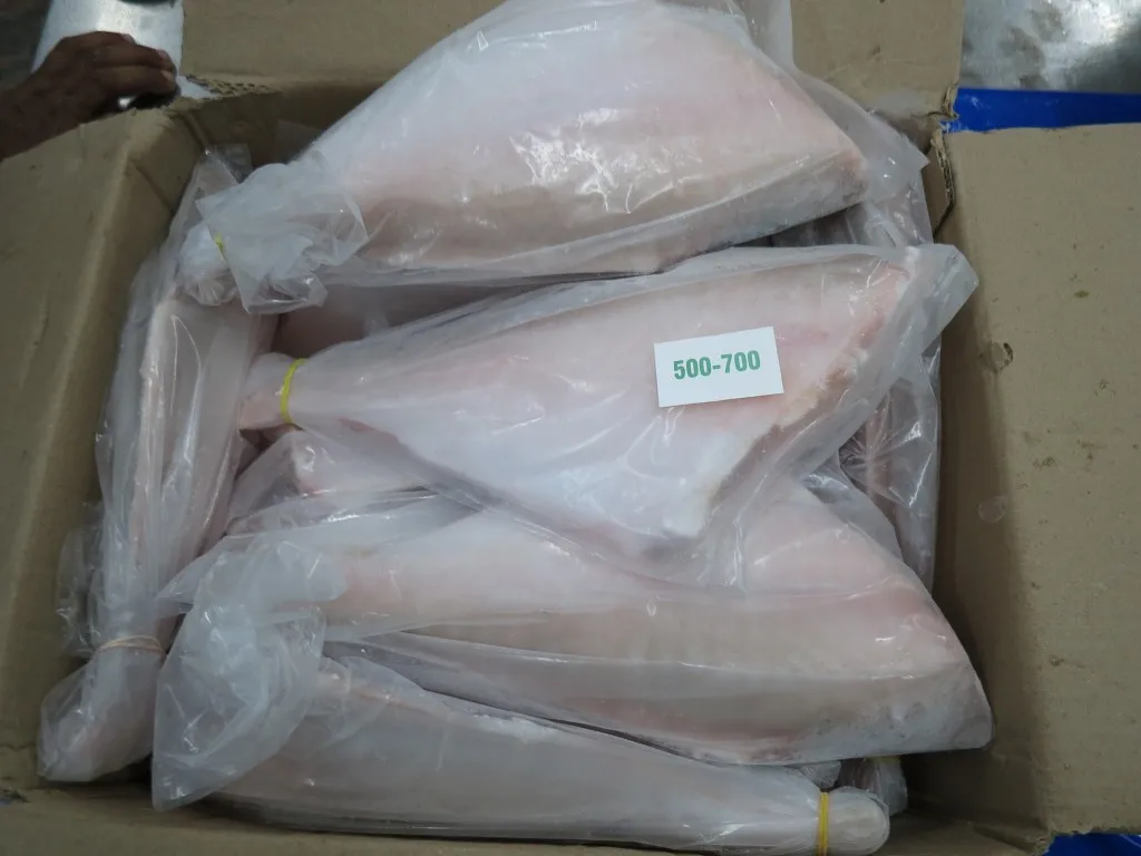  Кожаная куртка FISH HGT