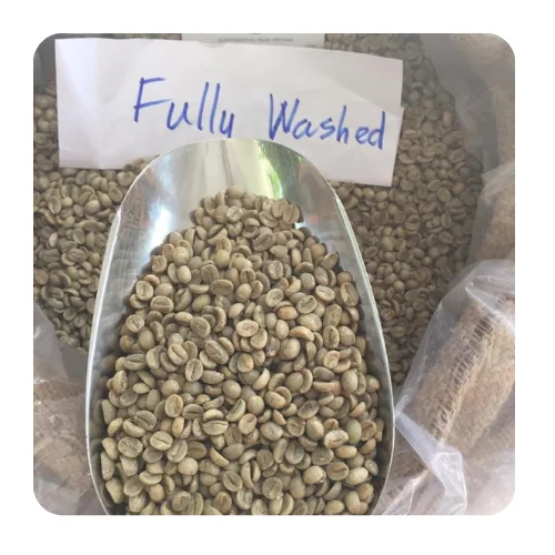 Arabia coffee/ green coffee beans/ whole bean coffee from Vietnam