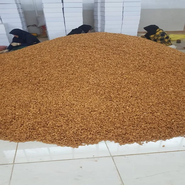 Almonds Yellow Flat Large Grain Original Wholesale Almonds Nut