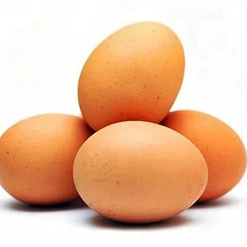 Fresh Brown White Table Eggs / Fresh Chicken Eggs, Sell At Best Rate