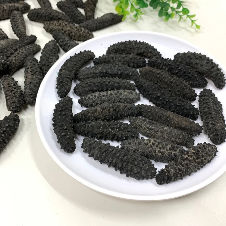 Best Quality Dried Sea Cucumber Fresh Frozen For Best Priced