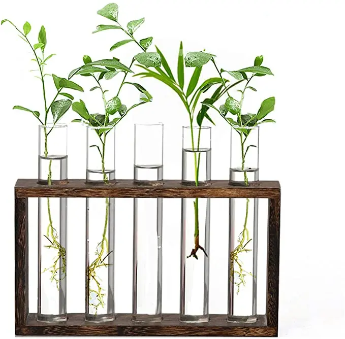 BULB VASE FLOWER Plant Terrarium with Wooden Stand, Air Planter Bulb Glass Vase Metal Swivel Holder Retro Tabletop