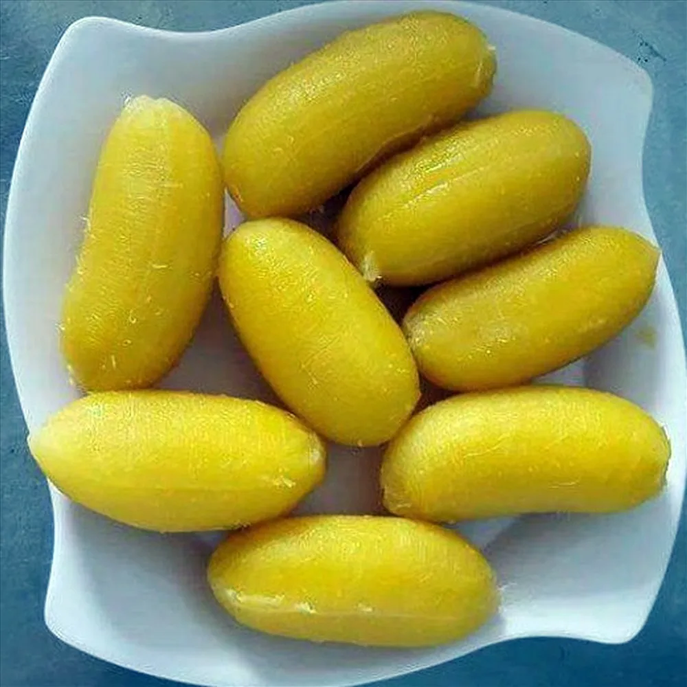 Vietnam Export Product Fresh Cavendish Banana Best Price Fresh Bananas Grade A Best quality