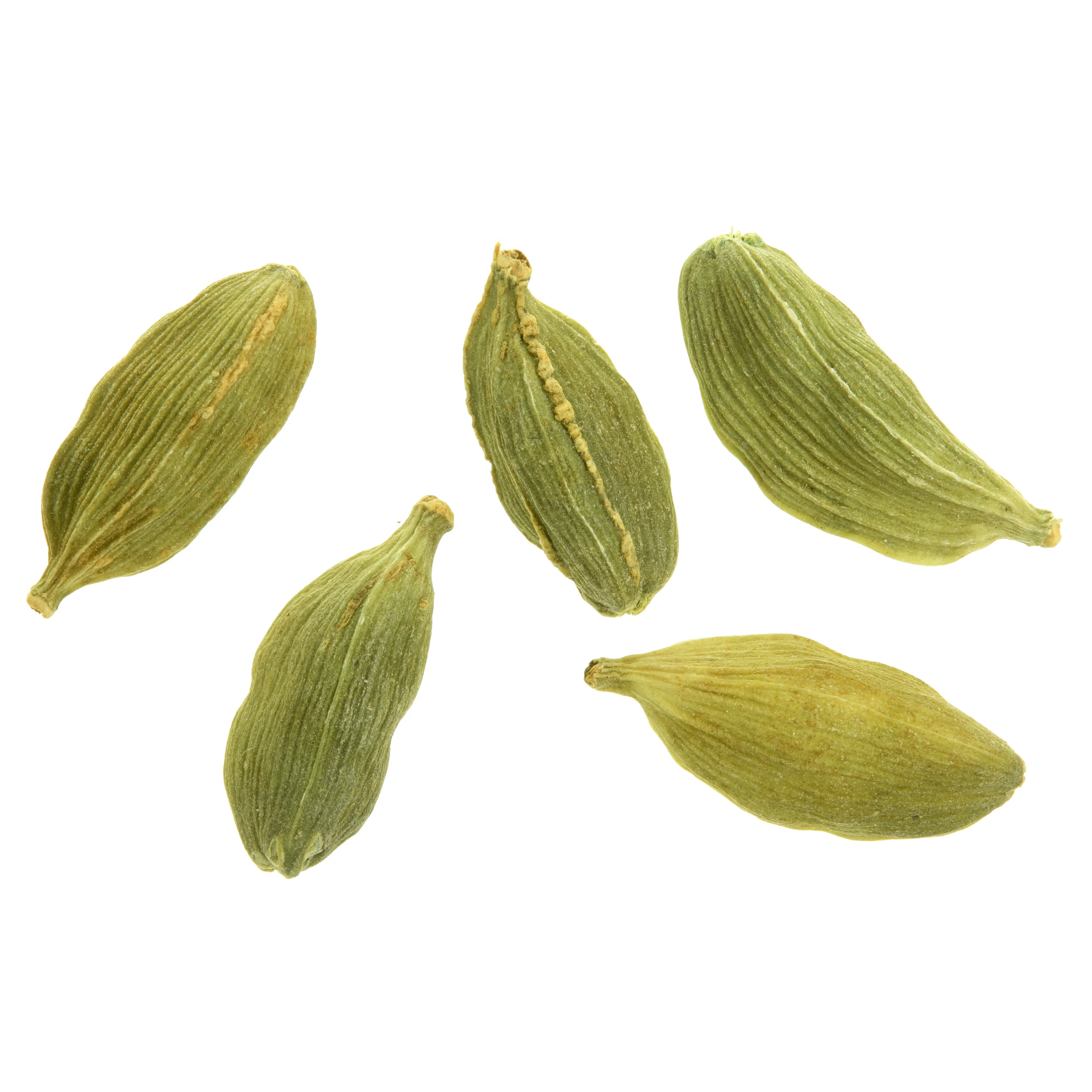 Green Cardamom, Organic or Non organic VARIOUS SIZE AVAILABLE