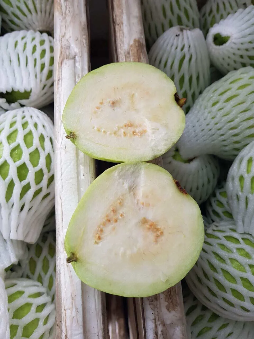 
FRESH GUAVA FRUIT SWEET BEST PRICE HIGH QUALITY FROM VIKAFOODS (WhatsApp/ Wechat: +84 983 028 718) 