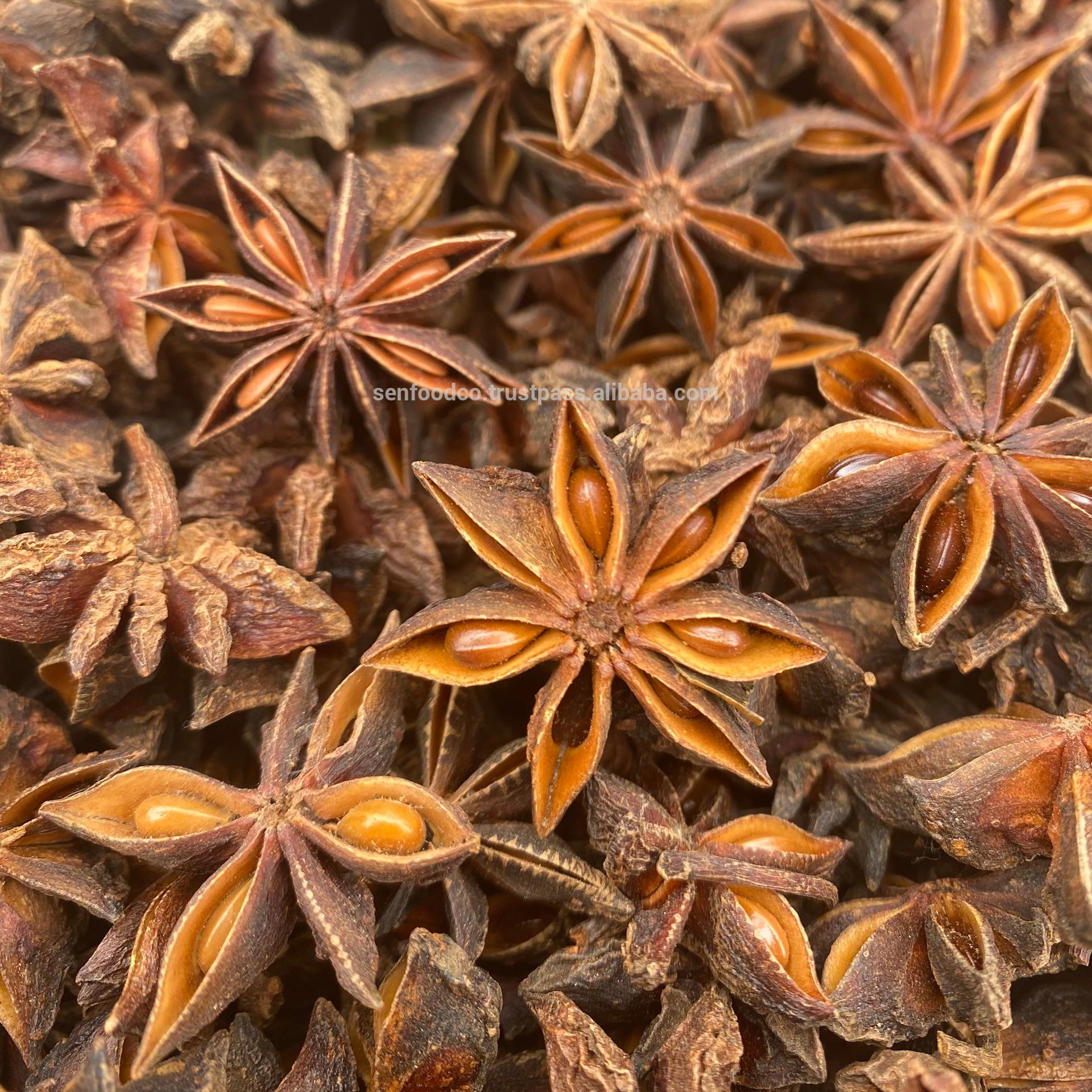 Best Quality Biggest Flower Size Star Anise  2024 Crop Vietnam High Aroma Collected from the Mountain in High Hill
