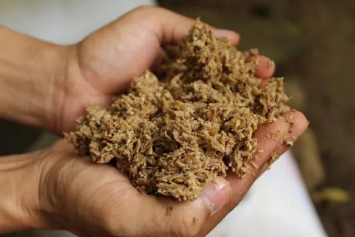 Остатки пивной муки/остатки пива/зерно для пива + 84 896626401