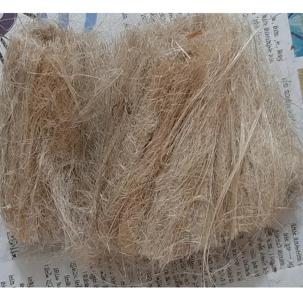 Wholesale Premium Quality Amd Competitive Price Processed Fiber Manufactured In Bangladesh