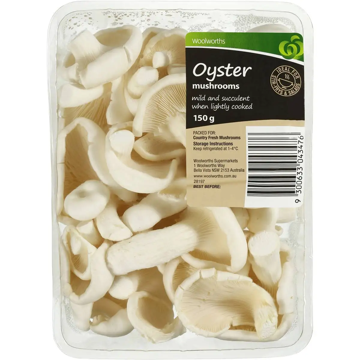
White Oyster Mushroom Whole Fresh Mushroom for sale 