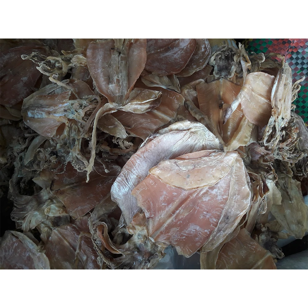 Hot Deal! Normal Dried Squid (8-45 pieces/kg) from Vietnam | Dried Squid | Cheap Price | Cuttlefish