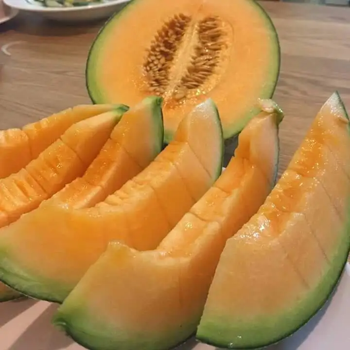 Высококачественная свежая канталупа/Мед Хами Дыня во Вьетнаме/мисс Кэти + 84 896650714