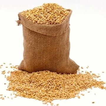 Wheat Grain in Bulk / High Quality Wheat, Whole Nutrition Grain for Export