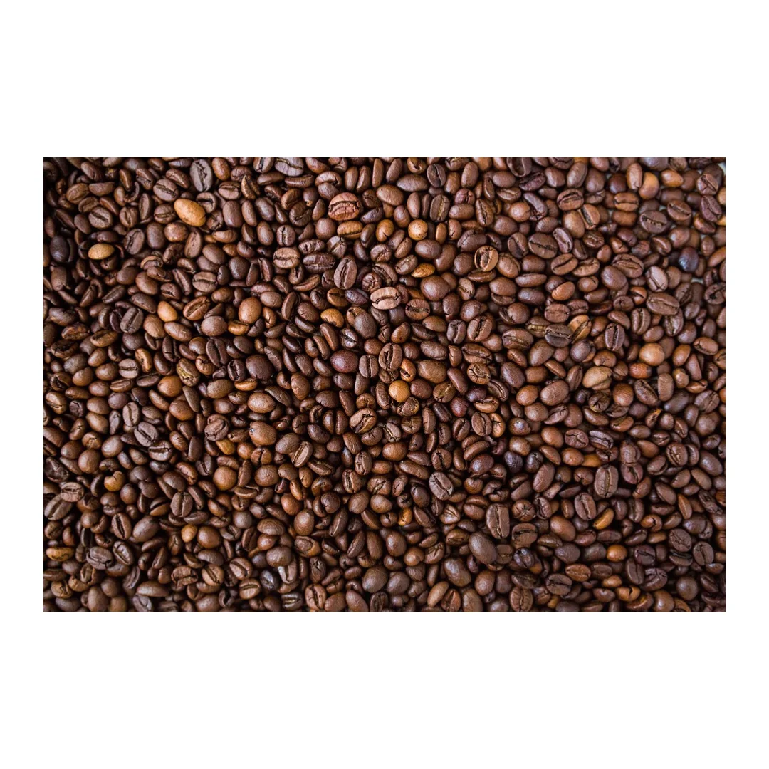 Готовый к отправке LMC тайваньский поставщик Эфиопия Yirgacheffe свежие жареные кофейные зерна