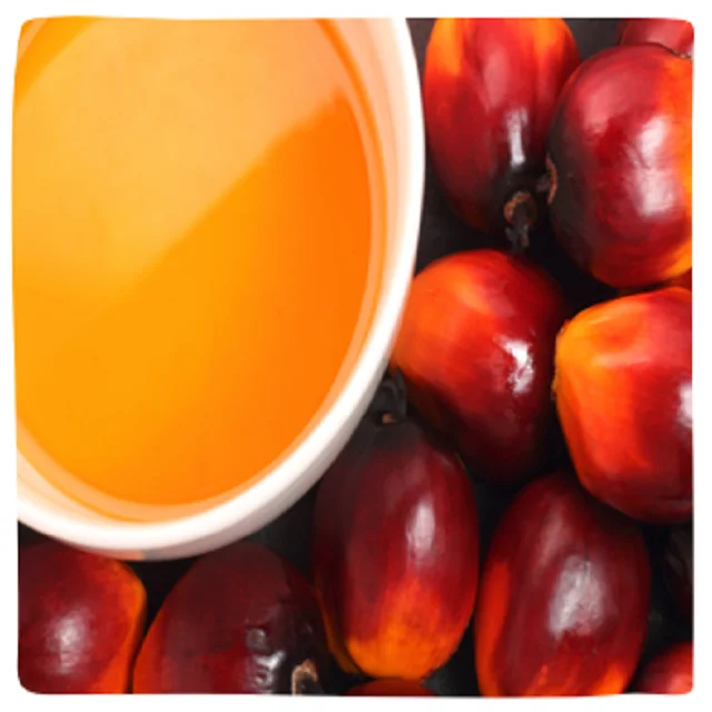 
Natural bulk top quality crude red cooking Palm kernel Oil from extraction processing machine 