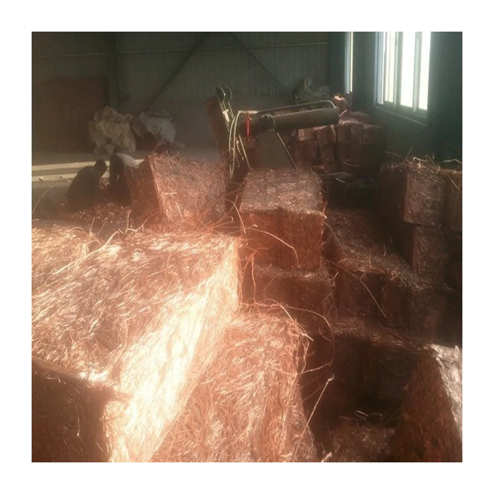 2021 новый продукт Лидер продаж технология профессионального производства консервированные морепродукты сардины в томатном соусе 125 г/155 г/425 г