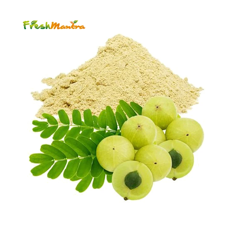 Pure Indian Goosebeery Powdered Form from Medicinal Herbal Plant boosts Immunity and Metabolism Wholesale Supply