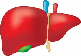 
Alcoholic Hepatitis - Organic Ayurvedic Herbal Medicine - Complete Assured Treatment - AVOID LIVER TRANSPLANTATION 