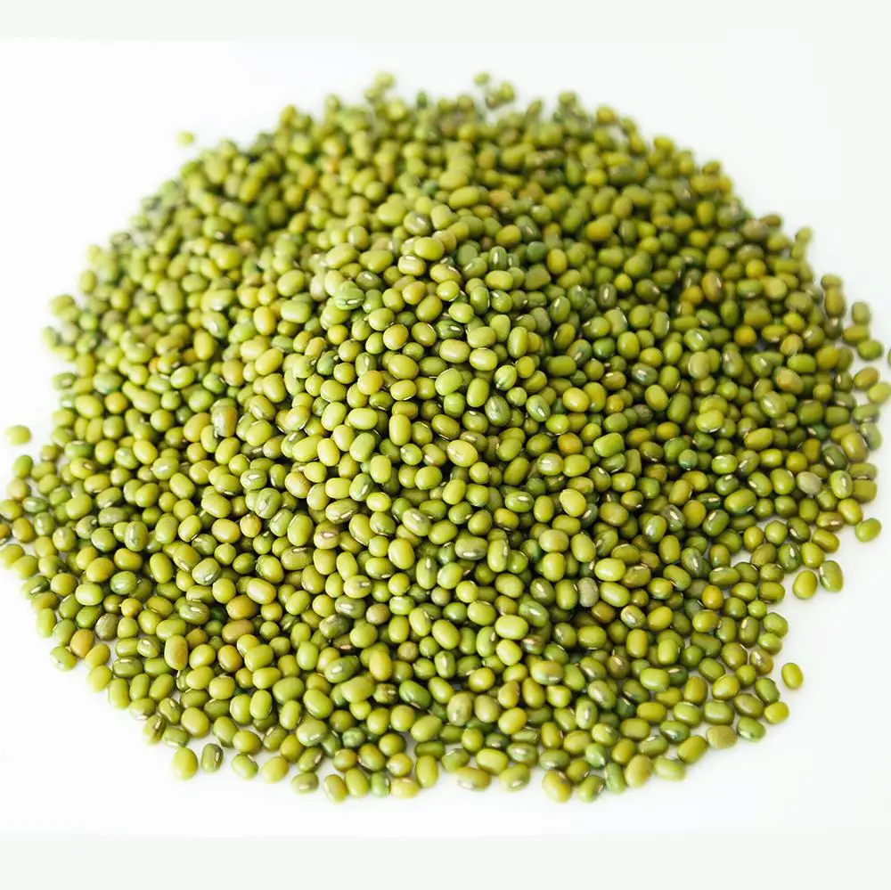 Wholesale Premium Agriculture Organic Dried Mung Bean Sprouts Mung Green Beans