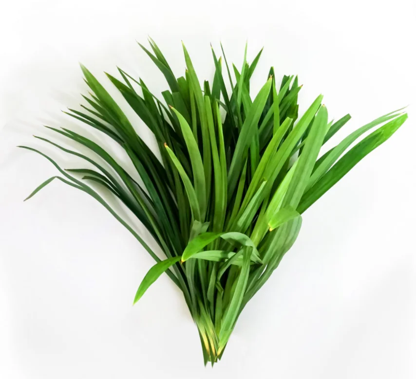 Поставщик высококачественных вьетнамских сушеных листьев панданов // порошок/2021 Ms Sofia + 84 789 946 878