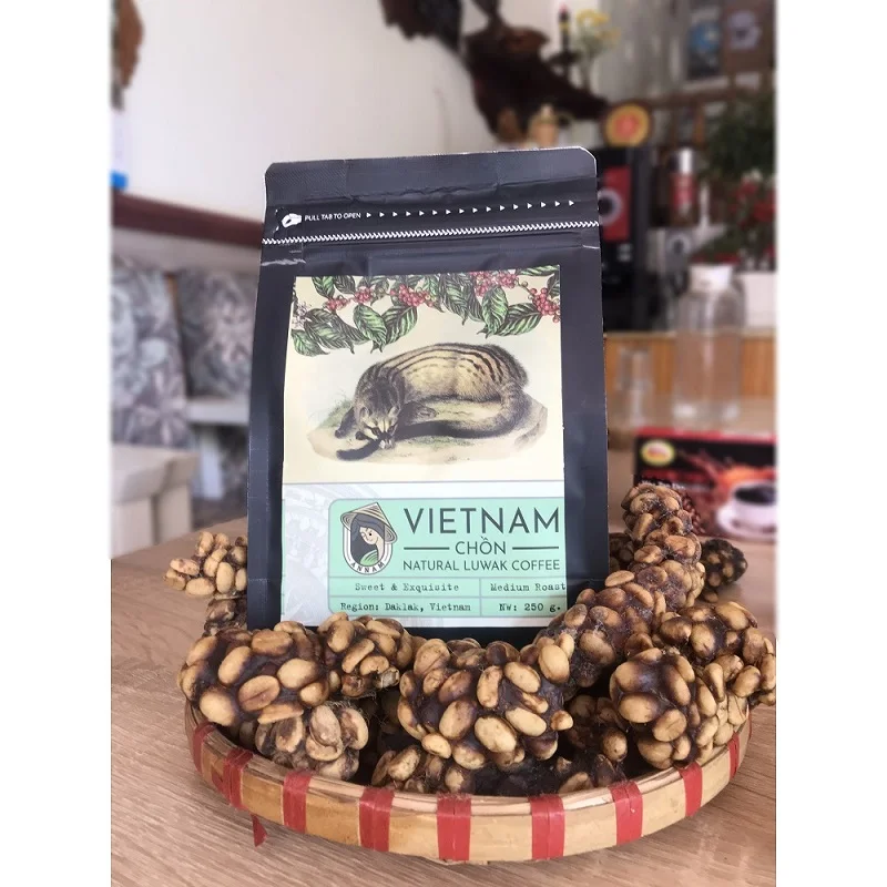 
Premium Grade 100% Organic 250g in Bag Packaging Roasted Robusta Weasel Coffee Beans From Vietnam 
