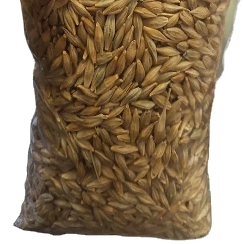 Кормовой ячмень для продажи Премиум-Качества 25/35 кг в пакетах или оптом