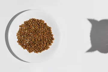 Enriched in nutrients Pet Food Cat Food With 5kg 10kg 15kg 20kg Vacuum Aluminum Packaging Made in Malaysia