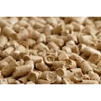 images (11).jfif.jpg