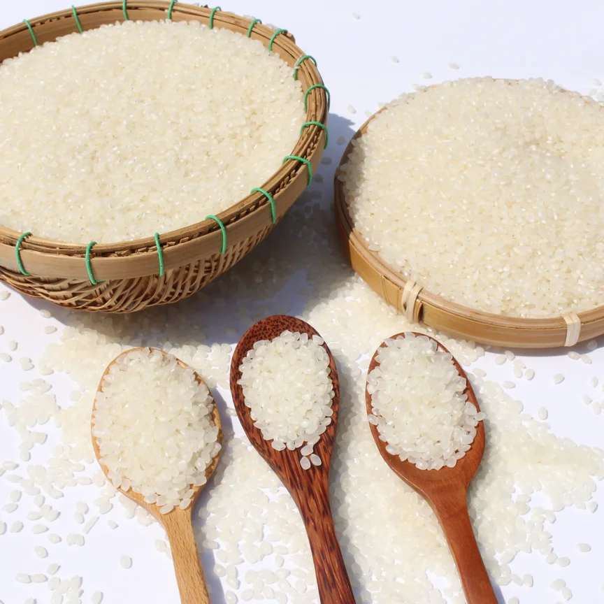 Wholesale Premium Quality Short-Grain Rice White Color Japonica Rice DS1from Vietnam Best Supplier