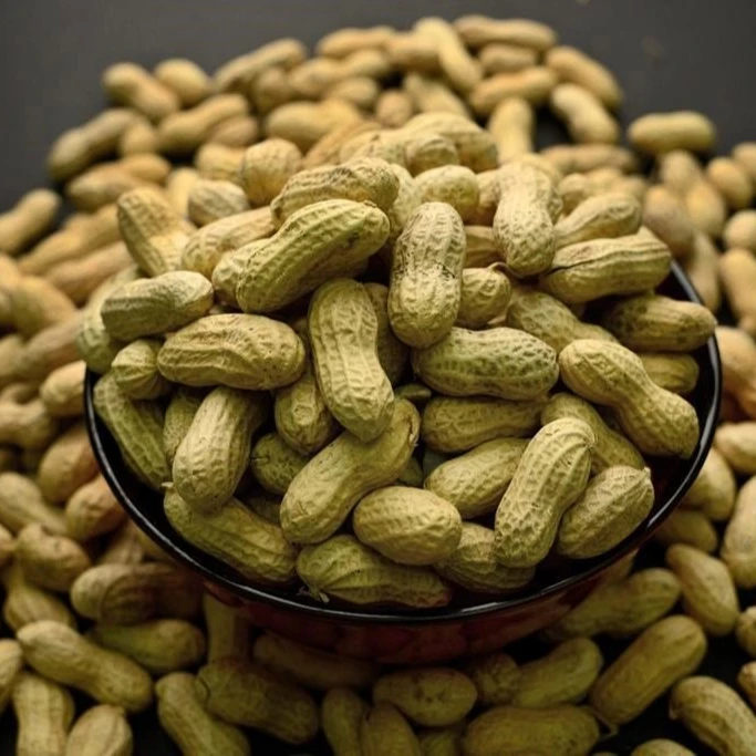 high quality pakistani Peanut
