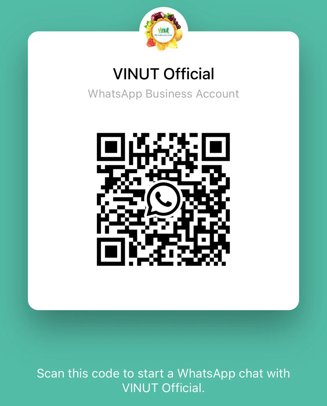 11.1 fl oz VINUT Sparkling Watermelon juice sparkling drink sparkling water carbonator Oem Juice