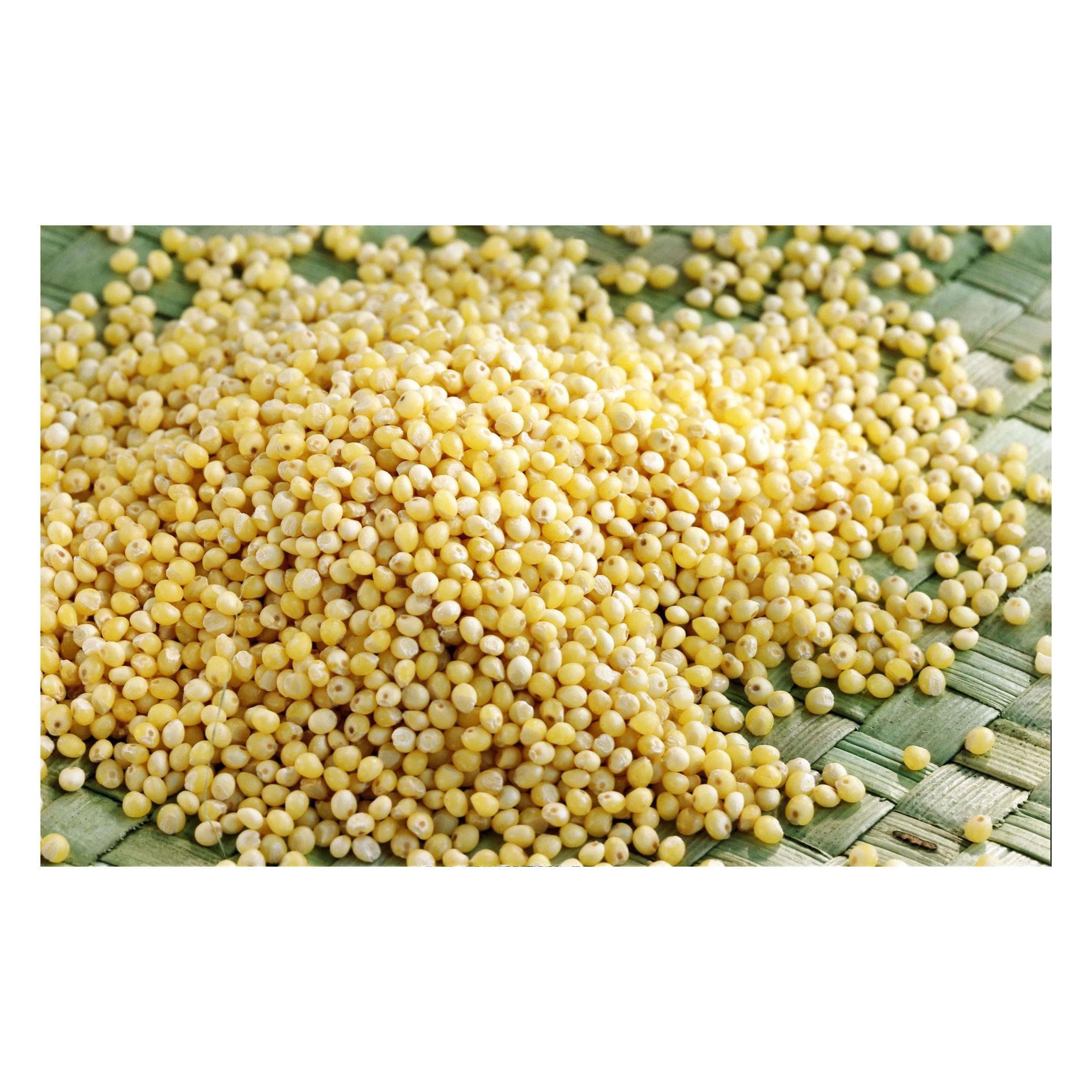 
Yellow millet groats for human consumption 